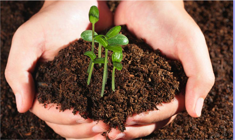 rb88随行版_官网官网入口