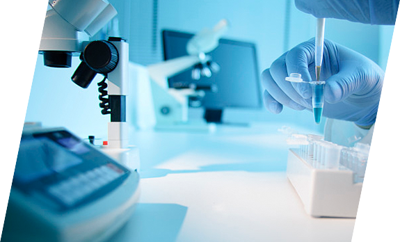 rb88随行版_官网官网入口